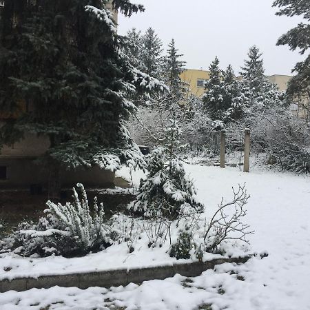 Next To University Debrecen Buitenkant foto