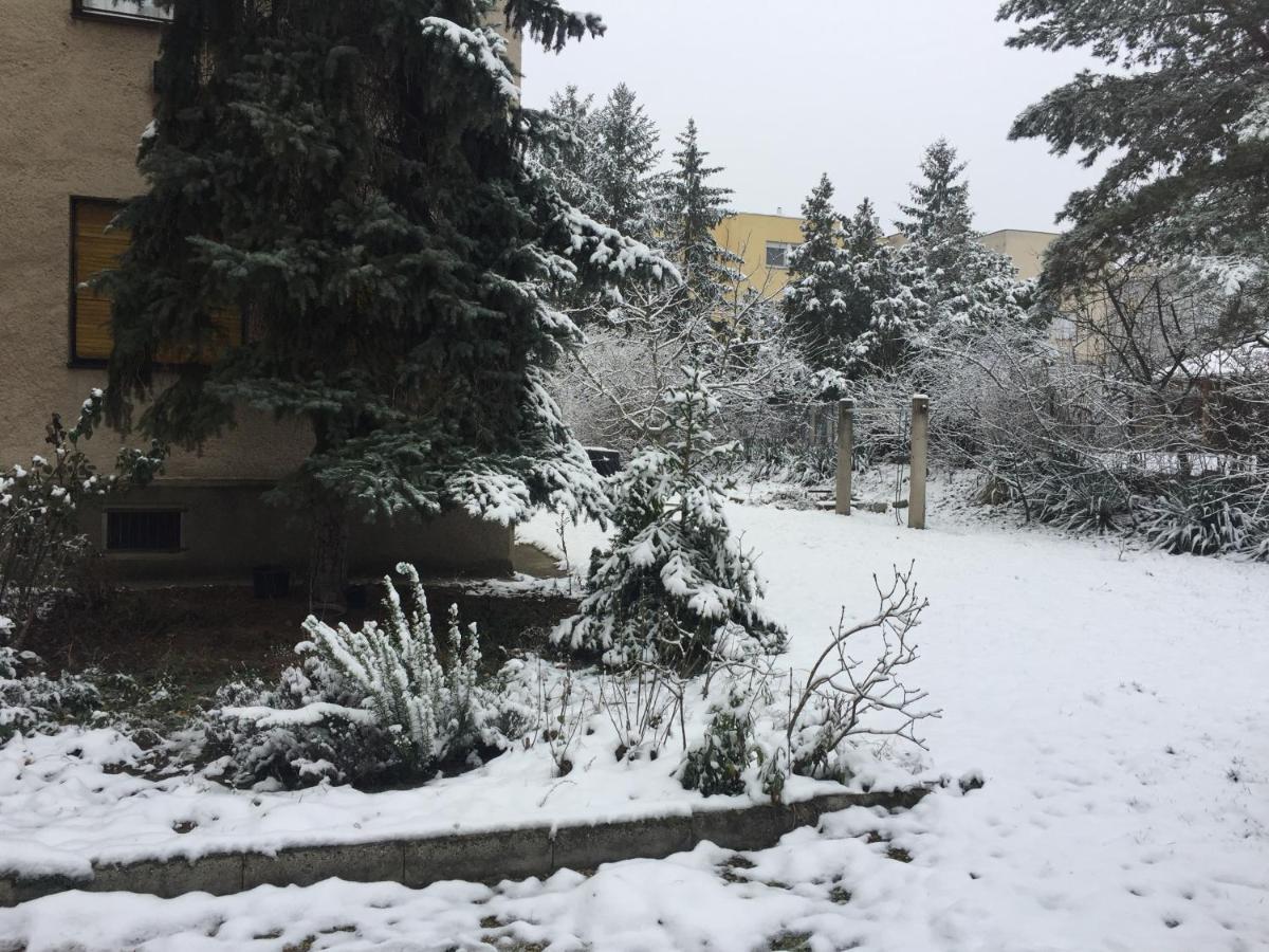 Next To University Debrecen Buitenkant foto